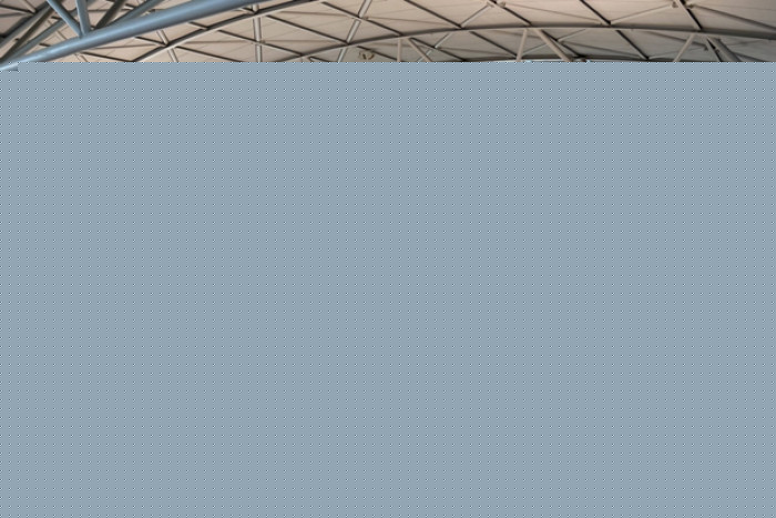 Брокера из Таиланда обвиняют в контрабанде «маленьких призраков» в Южную Корею