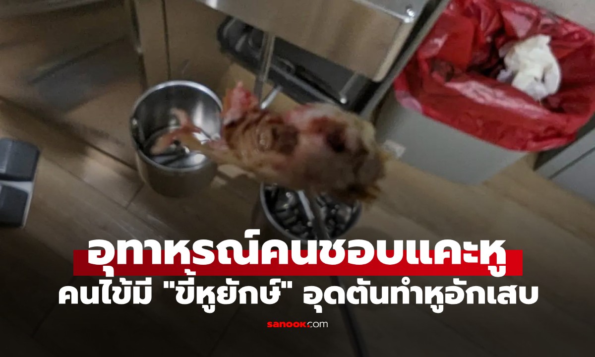 Врачи в Таиланде бьют тревогу: гигантские пробки ушной серы могут привести к серьезным проблемам со здоровьем